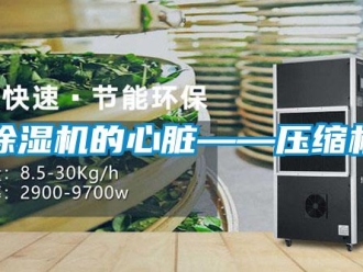 常見(jiàn)問(wèn)題除濕機(jī)的心臟——壓縮機(jī)
