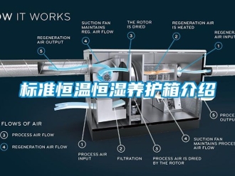 常見問題標準恒溫恒濕養(yǎng)護箱介紹