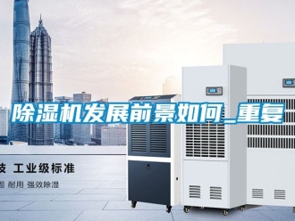 行業(yè)新聞除濕機發(fā)展前景如何_重復