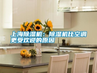 知識百科上海除濕機：除濕機比空調更受歡迎的原因