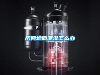 常見問題房間地面潮濕怎么辦