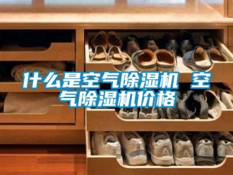 企業新聞什么是空氣除濕機 空氣除濕機價格