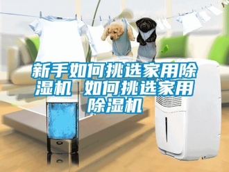 常見問題新手如何挑選家用除濕機 如何挑選家用除濕機