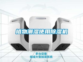 知識百科植物潮濕使用除濕機