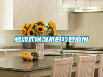 知識百科移動式除濕機(jī)的巧妙應(yīng)用