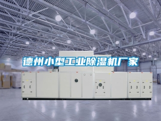 企業新聞德州小型工業除濕機廠家