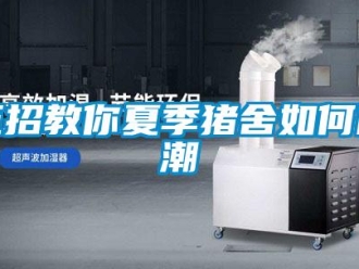 常見問題五招教你夏季豬舍如何防潮