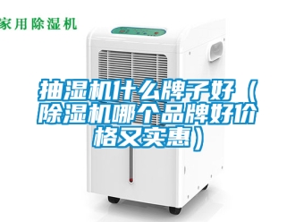 企業(yè)新聞抽濕機(jī)什么牌子好（除濕機(jī)哪個(gè)品牌好價(jià)格又實(shí)惠）