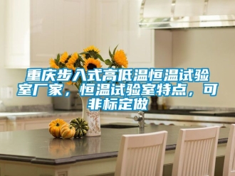 知識百科重慶步入式高低溫恒溫試驗室廠家，恒溫試驗室特點，可非標定做