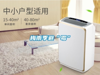 行業(yè)新聞梅雨季避“霉”