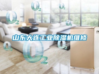 常見問題山東大連工業除濕機維修