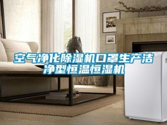 知識百科空氣凈化除濕機口罩生產潔凈型恒溫恒濕機