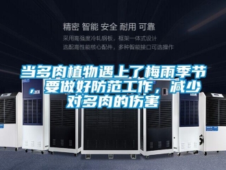 企業(yè)新聞當多肉植物遇上了梅雨季節(jié)，要做好防范工作，減少對多肉的傷害