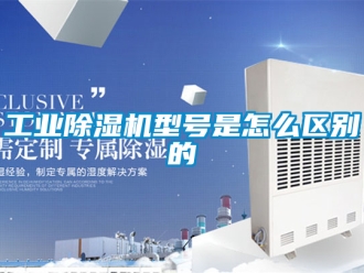 常見問題工業除濕機型號是怎么區別的