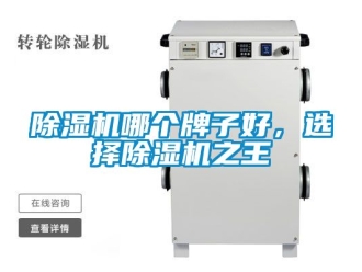行業(yè)新聞除濕機哪個牌子好，選擇除濕機之王