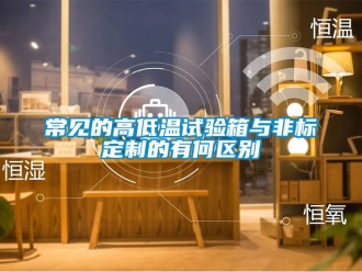 常見問題常見的高低溫試驗箱與非標定制的有何區別