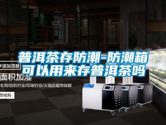 常見問(wèn)題普洱茶存防潮-防潮箱可以用來(lái)存普洱茶嗎