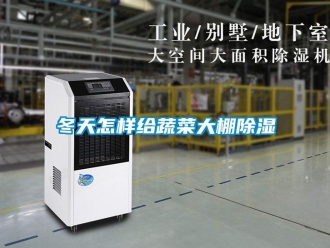 常見(jiàn)問(wèn)題冬天怎樣給蔬菜大棚除濕