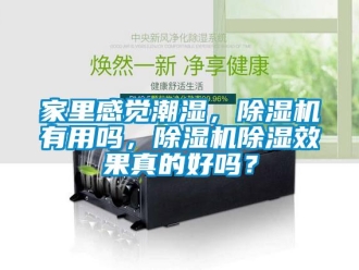 行業(yè)新聞家里感覺潮濕，除濕機(jī)有用嗎，除濕機(jī)除濕效果真的好嗎？