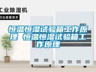 知識百科恒溫恒濕試驗箱工作原理 恒溫恒濕試驗箱工作原理