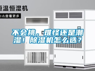 企業新聞不會挑，難怪還是潮濕！除濕機怎么選？