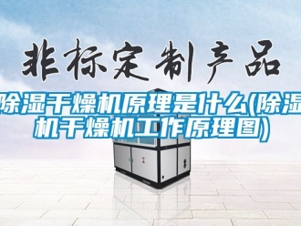 企業新聞除濕干燥機原理是什么(除濕機干燥機工作原理圖)