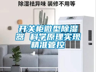 行業(yè)新聞開關(guān)柜微型除濕器 科學(xué)原理實(shí)現(xiàn)精準(zhǔn)管控