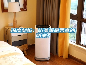 常見問題深度剖析：防潮板是否真的防潮？