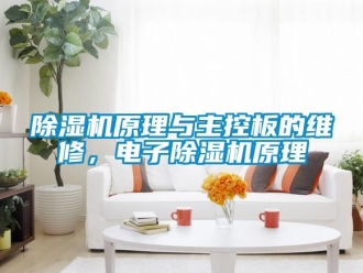 行業(yè)新聞除濕機原理與主控板的維修，電子除濕機原理