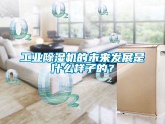 企業新聞工業除濕機的未來發展是什么樣子的？