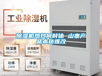 企業(yè)新聞除濕機熱炒何時休 山寨產(chǎn)品本色難改