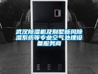 常見問題武漢除濕機及別墅新風除濕系統(tǒng)等專業(yè)空氣處理設備服務商