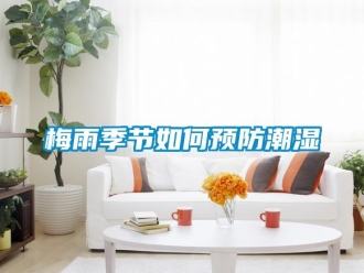 常見問題梅雨季節如何預防潮濕