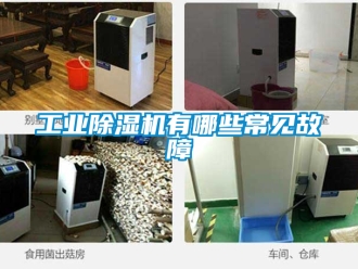 常見問題工業(yè)除濕機(jī)有哪些常見故障