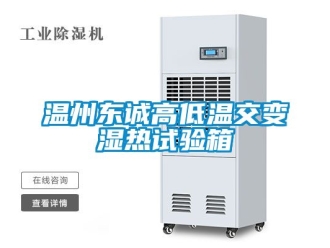 常見問題溫州東誠高低溫交變濕熱試驗(yàn)箱