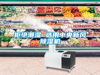 行業新聞拒絕潮濕 選用中央新風除濕機