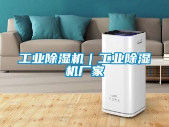 企業新聞工業除濕機｜工業除濕機廠家