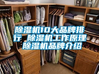 企業(yè)新聞除濕機(jī)10大品牌排行 除濕機(jī)工作原理 除濕機(jī)品牌介紹