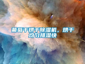 行業(yè)新聞葡萄干烘干除濕機(jī)，烘干均勻排濕快