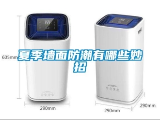 常見問題夏季墻面防潮有哪些妙招