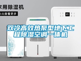 行業(yè)新聞雙冷高效熱泵型地下工程除濕空調(diào)一體機