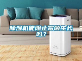 常見問題除濕機能阻止霉菌生長嗎？