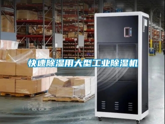 常見問題快速除濕用大型工業(yè)除濕機(jī)