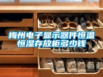 知識百科梅州電子顯示器件恒溫恒濕存放柜多少錢