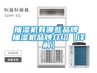 企業新聞抽濕機有哪些品牌 抽濕機品牌介紹【詳解】