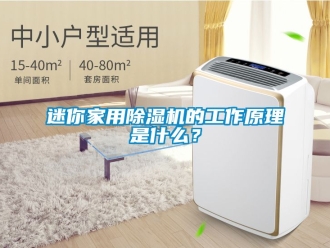 常見問題迷你家用除濕機的工作原理是什么？