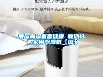 常見問題房屋潮濕有害健康 教您選購家用除濕機【圖】