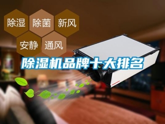 常見問題除濕機品牌十大排名