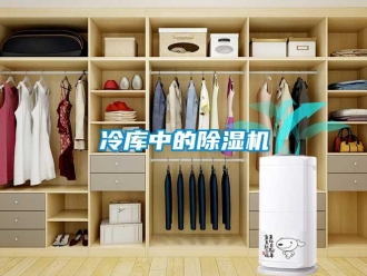 行業新聞冷庫中的除濕機