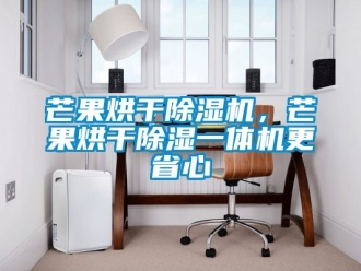 行業(yè)新聞芒果烘干除濕機(jī)，芒果烘干除濕一體機(jī)更省心